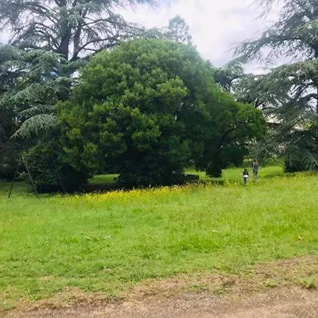 Domaine Des Ondes Konukevi Millau