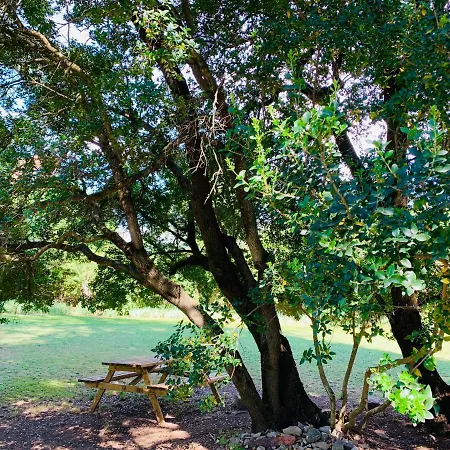 Domaine Des Ondes Guest house Millau